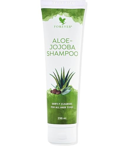 aloe vera pflanze kaufen groß Aloe vera - Aloe vera