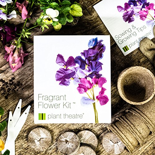 Plant Theatre Kit Fragrant Flowers – 6 wunderbare duftende Sorten zum Anbauen – ein großartiges Geschenk - 3