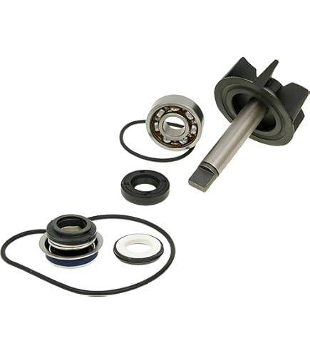 Kit Revisione Pompa Acqua MINARELLI 50 Per AEROX, F12, SR, JOG, RR, MACH, G, LC, NITRO - BY CAMAMOTO