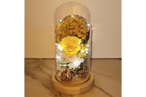 UNIQICON La Bella y La Bestia Rosa Encantada, Rosa Eterna, Elegante Cúpula Rosa de Cristal con Base Pino Luces LED, Románticos Rosa Regalos para San Valentin, Día de la Cumpleaños, Mujer, Madre, Novia