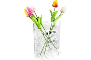 TKGEOUE Vaso libro vaso a forma di libro vaso libro trasparente Vaso Acrilico Trasparente per libreria, decorazione per la casa, decorazione unica per casa, camera da letto, ufficio