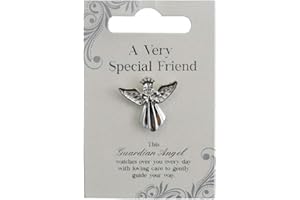 GUARDIAN ANGEL Very Special Friend Silver Coloured Angel Pin With Gem Stone Sentimental Gift Idea