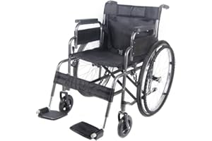 Lightweight folding wheelchair, PALDIN self propelled Portable wheelchair With Running Brakes, Removable Footrests, Armrest (Grey)