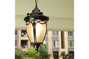 Mengjay Suspendu Réglable En Hauteur Vintage Extérieur/Intérieur Lustres E27 Noir Pendentif Lampe Étanche En Aluminium Verre Abat-Jour Couloir De Jardin Balcon Gazebo Éclairage