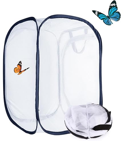 Cage à Papillons Pliable 33x37.5cm - Habitat En Maille Avec Fermeture Éclair, Mangeoire Portable | Pour Élevage, Observation Au Jardin - 6