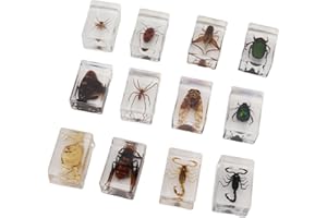 DPOFIRS 12 Pezzi di Bug in Resina, Campioni di Bug in Resina Trasparente Vari Bug Veri Conservati in Resina per Bambini Forniture Educative Scientifiche Display di Bug