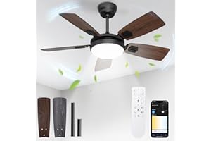 BLITZWILL Ventilatore da Soffitto con Luce, Ø91cm Ventilatori da soffitto con Illuminazione LED, Controllo App&Telecomando, 6 Velocità, 3 Colori Dimmerabile, 5 Pale, Silenzioso, Estate-Inverno,Timer