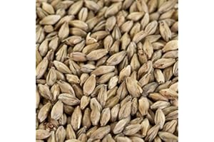 WEYERMANN 1 kg Münchner Malz 1 für dunkles Bier EBC 12-17