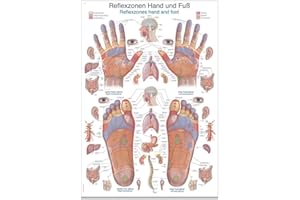 Erler Zimmer anatomische Lehrtafel, Reflexzonen Hand und Fuß, Lehrmittel, 50x70cm