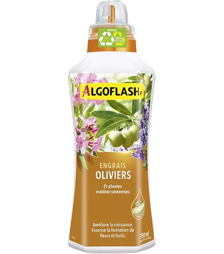Substrat LECHUZA Palmpon 12 Litres - Pour Palmiers Et Plantes Méditerranéennes | Sans Tourbe, Pré-fertilisé, Drainage Optimal