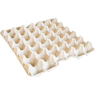 Benefischl Lot de 20 boîtes à œufs en carton vide, en cellulose, une douzaine de boîtes à œufs, vides, porte-œufs en cellulose