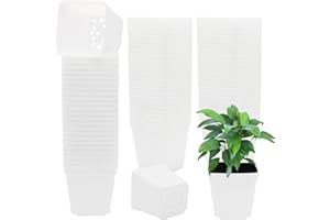 GGOUPTY Square Plastic Plant Pots 7cm 100 Pcs White Succulent Planter Nursery Pots for Flower Staring Seedling