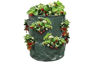Ose Sac à fraisiers - Sac de Plantation pour Fraises - X2 Vert
