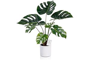Leflos 68cm pianta artificiale Monstera Deliciosa per uso interno, albero tropicale Philo diviso in vaso bianco, deco per soggiorno, ufficio, festa e celebrazione