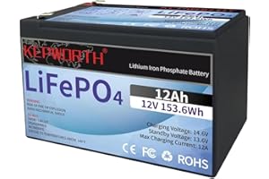 DEESPAEK Batteria al Litio da 12 Ah 12 V, Estensibile LiFePO4 Batterie a ciclo profondo, 153.6Wh, Ricaricabile con Energia Solare, Perfetta per Sistemi Off-grid/ecoscandaglio/Camper