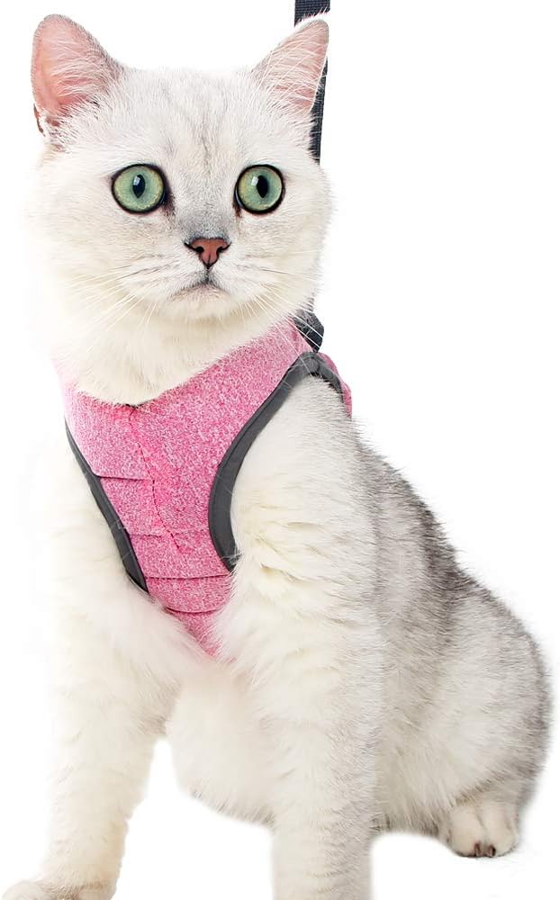 Juego de arnés y Correa para Gato Ultraligero para Caminar a Prueba de Escape, Ajustable de Malla Suave en Acolchado para Correr, Chaleco para Gatos, Mascotas y Cachorros.