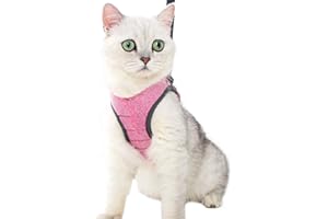 LIANZIMAU Juego de arnés y Correa para Gato Ultraligero para Caminar a Prueba de Escape, Ajustable de Malla Suave en Acolchado para Correr, Chaleco para Gatos, Mascotas y Cachorros.