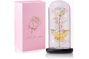 ANYINGKAI Rose in glas,Sparkly roses,Geschenke für Frauen Ewige Rose,Ewige rose im glas geschenk für mama,Ewige blume im glas,Die Schöne und das Biest Rose Geschenk,Blume im Glas mit licht,Valentinstag Rose