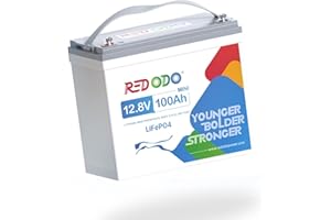 Redodo 12V 100Ah Mini LiFePO4 Batteria al litio Smaler & Lighter, Built-in 100A BMS, perfetto per il campeggio, l'accumulo di energia domestica solare, RV, Off-Grid