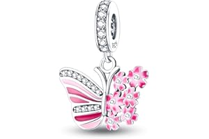 Hapour 925 Plata Esterlina Encantos Ajuste para Pulseras Colgante Bead, Pulsera y Collar de Joyería Bead Regalos para Mujeres Chica