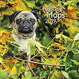 Mops 2019: Broschürenkalender Art & Image by 
