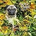 Mops 2019: Broschürenkalender Art & Image by 