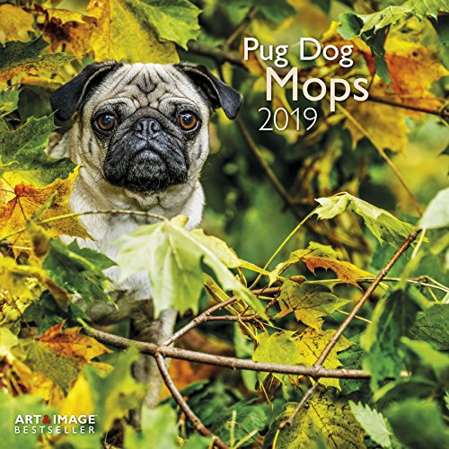 Mops 2019: Broschürenkalender Art & Image