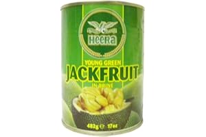 Heera - Jeune fruit de jacquier dans de l'eau salée - lot de 2 boîtes de 482 g
