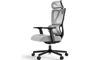ProtoArc EC100 Sedia da Ufficio Ergonomica - Sedia Scrivania per Computer con Schienale più Alto, 10 CM Cuscino a Molla più Spesso, Supporto Lombare, Braccioli e Poggiatesta Regolabili - Grigio