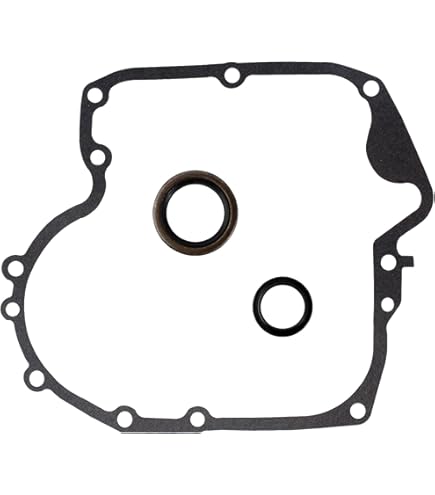 Anelli Pistone Per Motori Briggs & Stratton - Ricambio Originale - Foto 9