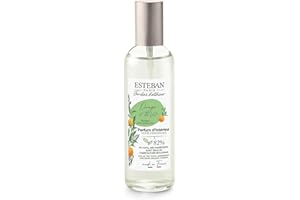 Esteban Paris Orange e Thè Vert Arancio E Thè Verde Spray Per Ambiente 100 ml Made In France