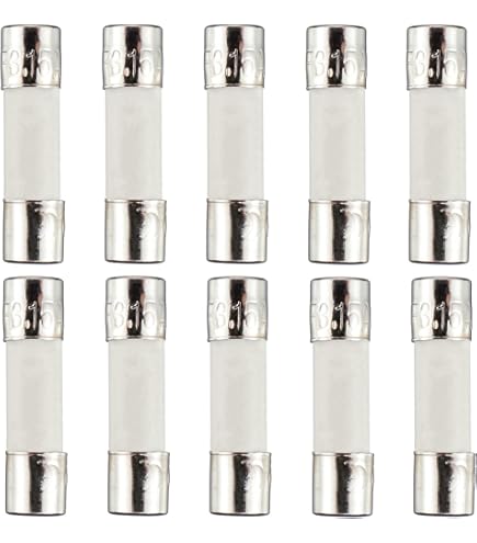 T6.3AH250V 5x20mm 6.3A 250V Slow Blow Ceramic Fuses 6.3 Amp 250 Volt 0.2x0.78 In - Foto 2