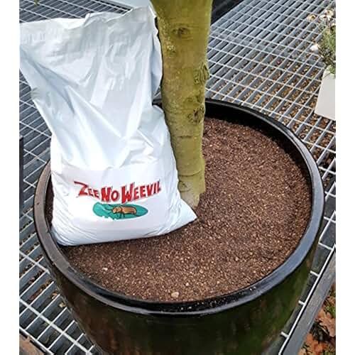 Amazon.co.uk vine weevil control