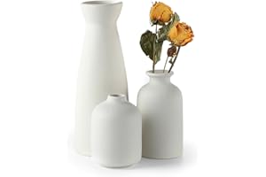 Sawoake Weiß Keramik Vasen 3er-Set Kleine Blumenvasen für Dekor, Moderne rustikale Bauernhaus Home Decor, Dekorative Vasen für Pampas Grass Idee Regal (Weiß)