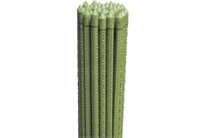 LoviStore 25PZ Cannette in Metallo Plasticato ø16 mm h. mt 2,10 Tutore in Metallo Rivestito in Plastica, Canne Reggi Piante a Superficie Zigrinata Idelae per Orti, Serre, Vivai, Giardini Ancoraggio