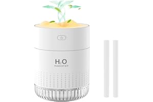 GAOJIE Mini Humidificateur d'air Portable, Petit Humidificateur avec Brume Fraîche pour Les plantes, Humidificateur Personnel de Bureau Rechargeable pour la Chambre, Voyages, Bureau avec Lumière Nocturne