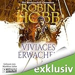 Viviaces Erwachen (Die Zauberschiffe 2)