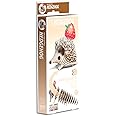 EUGY 3D Hedgehog Craft Kit