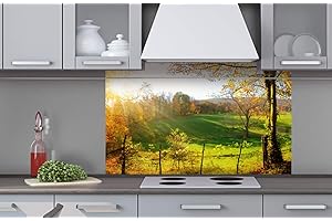 DIMEX Pannello posteriore della cucina composito prato, 100 x 60 cm, paraspruzzi da cucina per lavello, qualità premium, vetro acrilico, spessore 5 mm, prodotto in EU, con colla inclusa