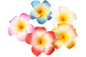 FSSTUD 10 Pcs 5cm Multicolor Hawaiian Hair Clip Beach Foam Flower Headpieces for Wedding Party Accessories