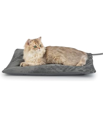 YXZN Blad Kat Mat Bladeren Vormige Huisdier Matten Zachte Kat Puppy Kussen Matras Draagbare Camping Reizen Huisdier Mat Voor Kleine Honden En Katten Blad Mat YXZN Blad Kat Mat Bladeren Vormige Huisdier Matten Zachte Kat Puppy Kussen Matras Draagbare Camping Reizen Huisdier Mat Voor Kleine Honden En Katten Blad Mat