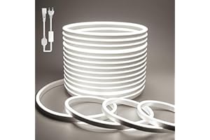 BAGZY Striscia LED Neon 20 Metri Tubo LED Flessibile Esterno Impermeabile Luminosa 220V IP65 120 LED/M Corda Stringa Lampada con Alimentatore di rete e Controller,per Camera da Letto(Bianco)