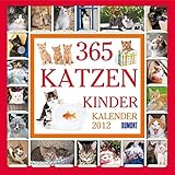 365 Katzenkinder- Kalender 2012 by