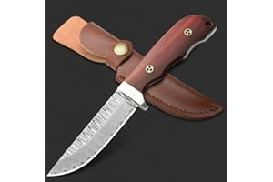 NedFoss Cuchillo afilado de hoja fija para exteriores, cuchillo para exteriores, cuchillo damasco para camping, adecuado para camping, senderismo, regalo y colección