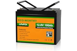 ECO-WORTHY LiFePO4 akumulator 100 Ah 12 V z ochroną przed niską temperaturą BMS i 3000-15000 cykli, bateria litowa 1280 Wh do kamperów, instalacji solarnych, łodzi, gospodarstwa domowego, zestawu