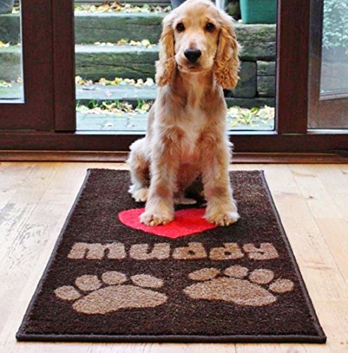 muddy paws dog mats