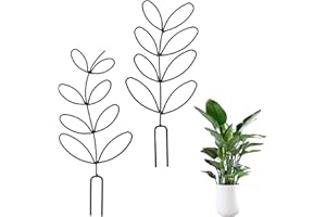 KIOINER 2 Stück Metall Rankhilfe für Zimmerpflanzen & Garten, Praktische Kletterhilfe & Pflanzenstütze für Kletterpflanzen Topfpflanzen & Blumentöpfe Pflanzenspalier & Blumenstütze für Innen & Außen