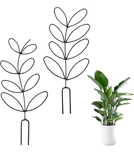 Lot De 2 Tuteurs Ronds En Métal Pour Plantes Grimpantes - 28x20 Cm, Fer Revêtu Noir, Pour Intérieur Et Extérieur