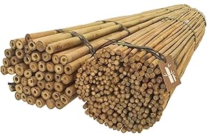 ‎DIXIE STORE Dixiestore Bambusstäbe Set - Blumenstützen und Pflanzenstäben 120 cm 6/8 mm - 100 Stück Holzstäbchen Rund - Robuste Pflanzen Stütze