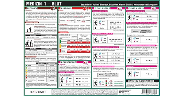 Medizin 1 Blut Bestandteile Aufbau Blutdruck Blutzucker Kleines Blutbild Krankheiten Und Symptome Amazon De Schulze Michael Bucher